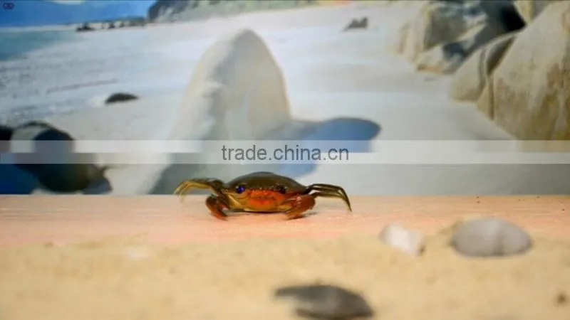 IR Mini Crab Toys For Kids