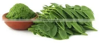 DRIED MORINGA LEAVES POWDER BEST QUALITY AT BEST PRICE