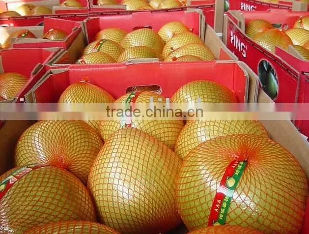 Sweet Honey Pomelo Fruits