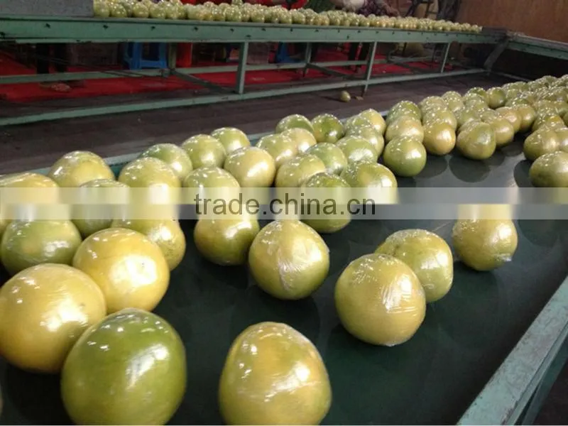 Fresh Guanxi honey pomelo