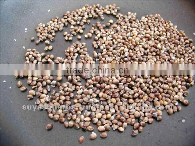 Hemp Seed Oil aromatherapy oil