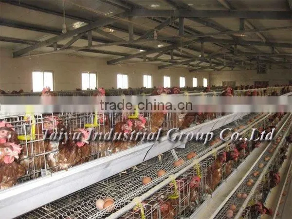 high quality egg layer cage