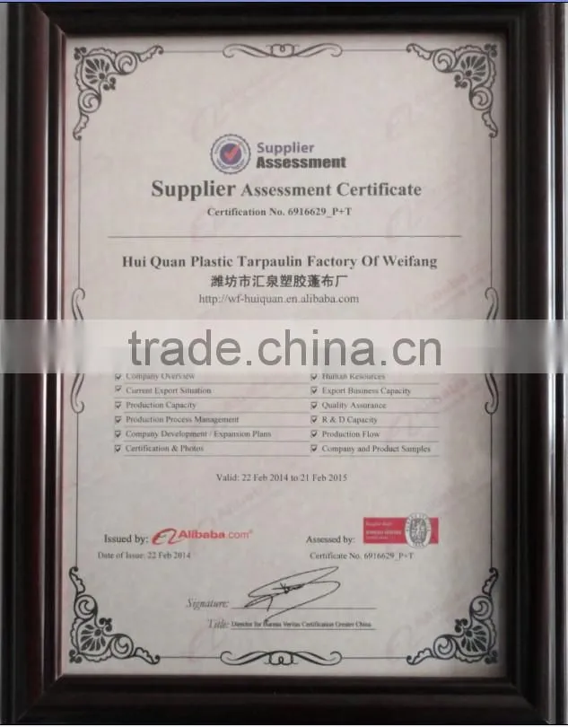 PE/PP Waterproof Construction Tarp/ Tarpaulin