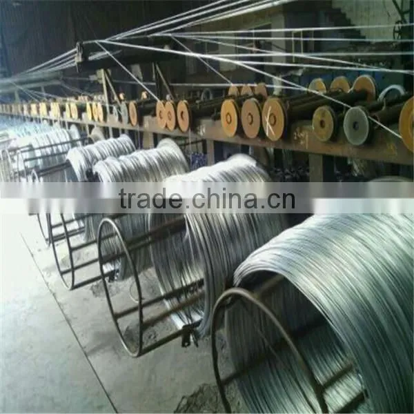 Galvanized wire BWG 12 galvanized wire 1008/low price galvanized wire