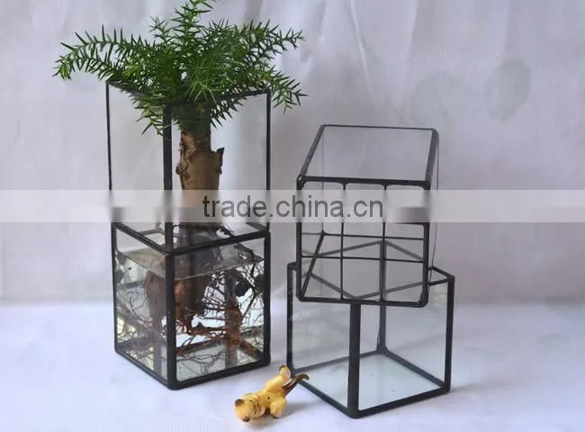 Latest design rectangular terrarium hydroponic glass containers