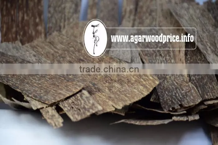 Long Time Formation to Get The Highest Fragrance of Vietnam Agarwood Chips - Aloeswood/Eaglewood/ Oud Chips