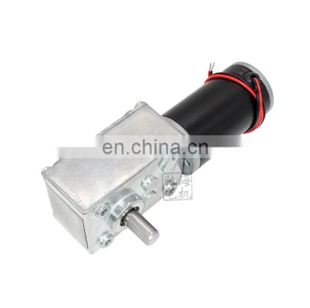 ChiHai Motor CHW4058-3162 High Precision DC 24V 12V Worm Gear Box Reduction Electric Motor Double Shaft Gear Motor