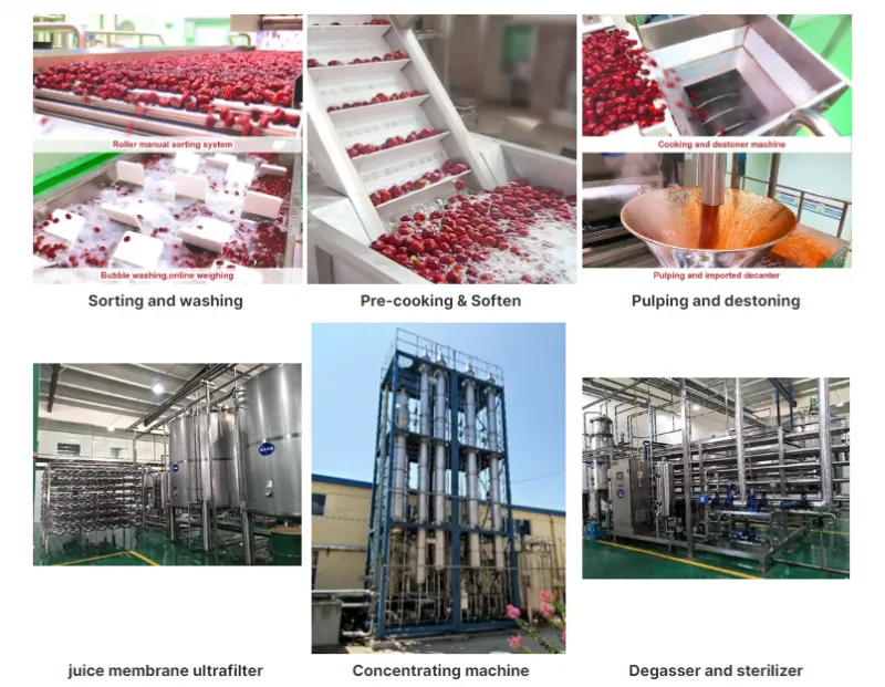 Turnkey Project Date Paste Production Line