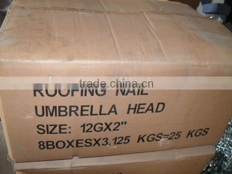 galvanized umbrella roofing nails factory