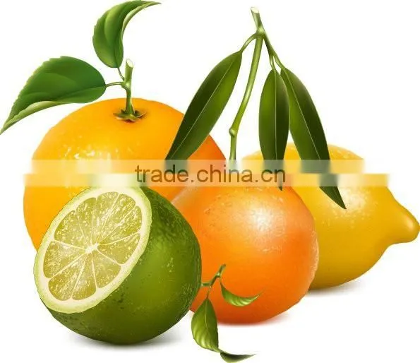 New and fashional hot sale commercial industrial juice extractor machines for sale
