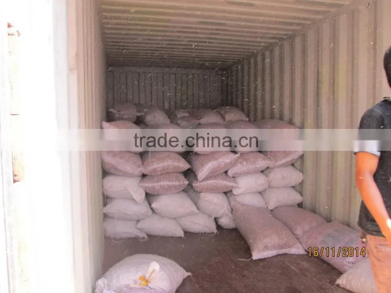 Dried Betel Nut (Areca nut )High Quality and Cheap Price From Vietnam