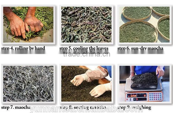 Gua Feng Zhai Pu'Er ----- Honey Sweet Mouth Feel
