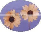 Dry palm sunflower flower