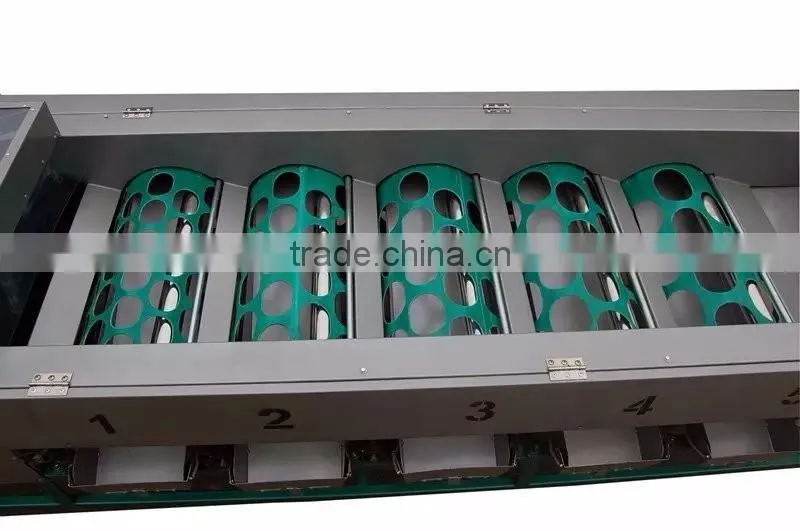 persian limes Sorter machine