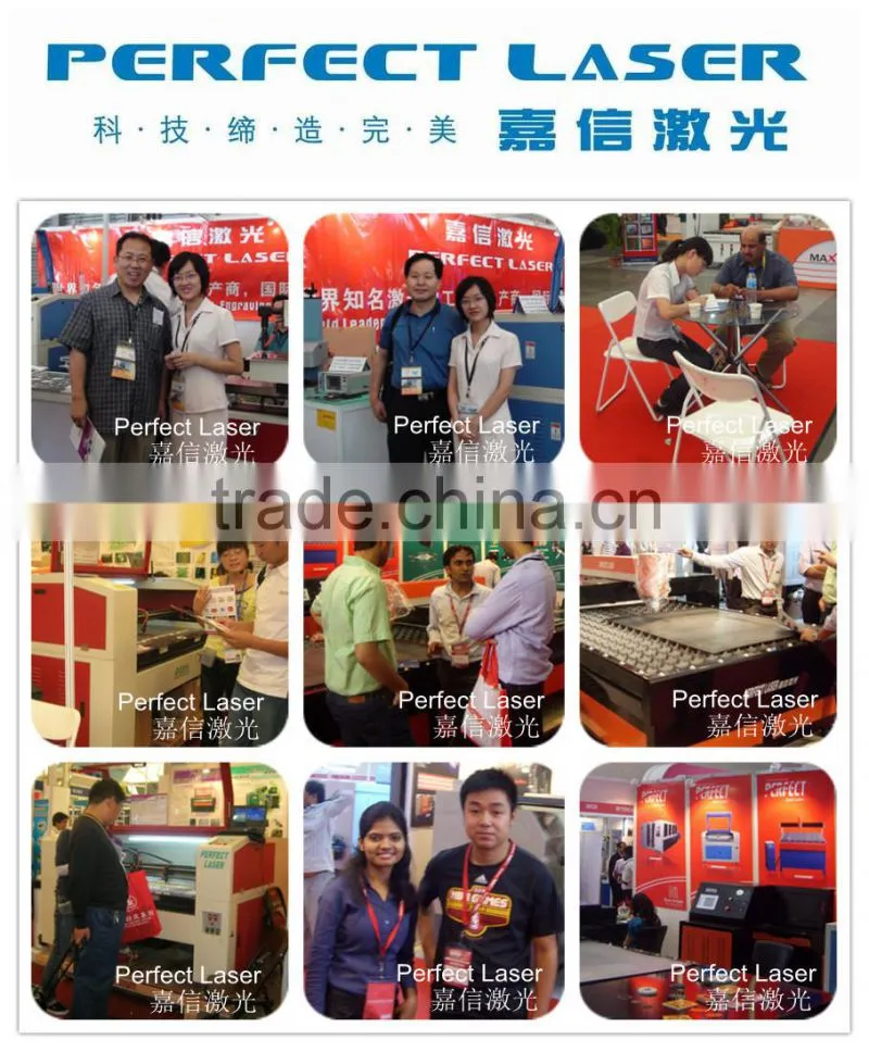 Wuhan Perfect Laser PE-M700-3015 4mm thickness yag 700w laser metal cutter machine