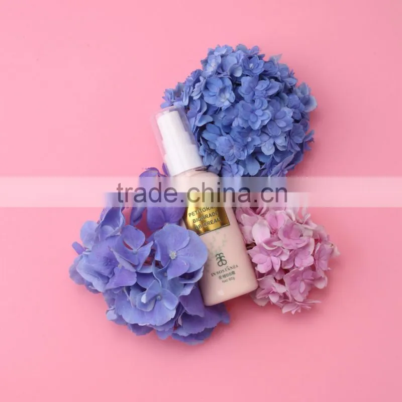 Face Whitening Squeeze Bottle BB Cream with Essential Oil