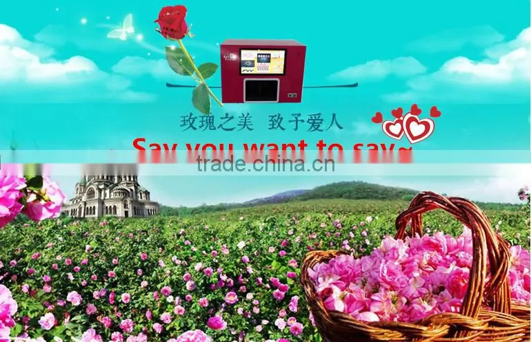 Yinghe new condition flower printer