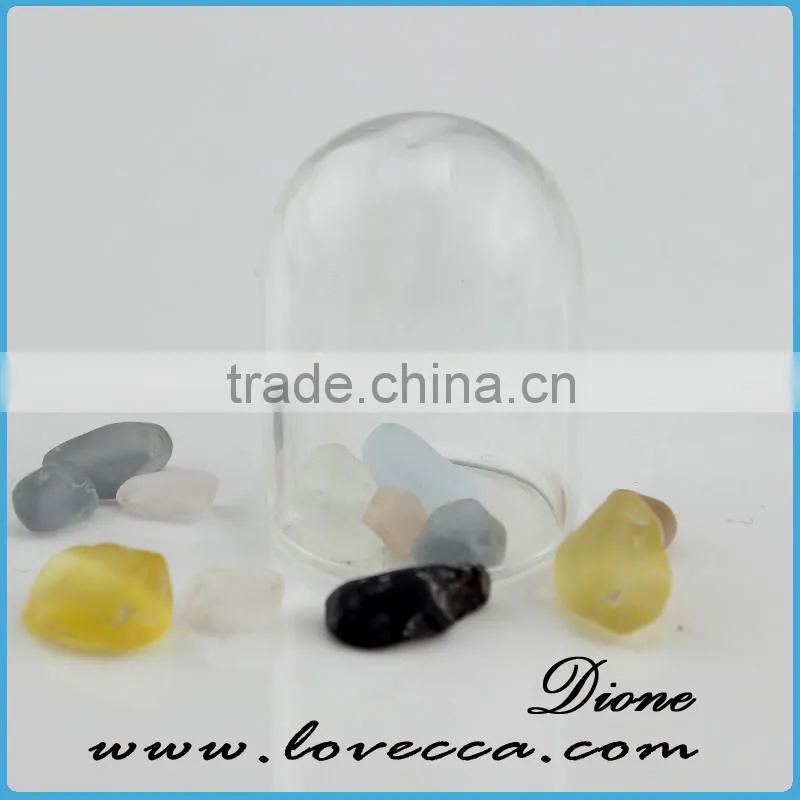 New christmas product wholesale fashion plant glass domes wholesae
