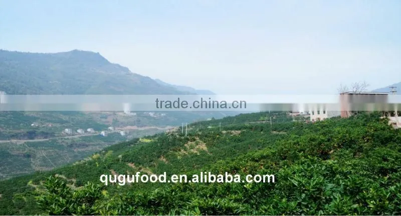 2014 New crop orange tea in jar best price