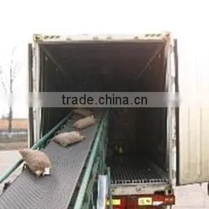 dandong kaili Chinese chestnuts big size