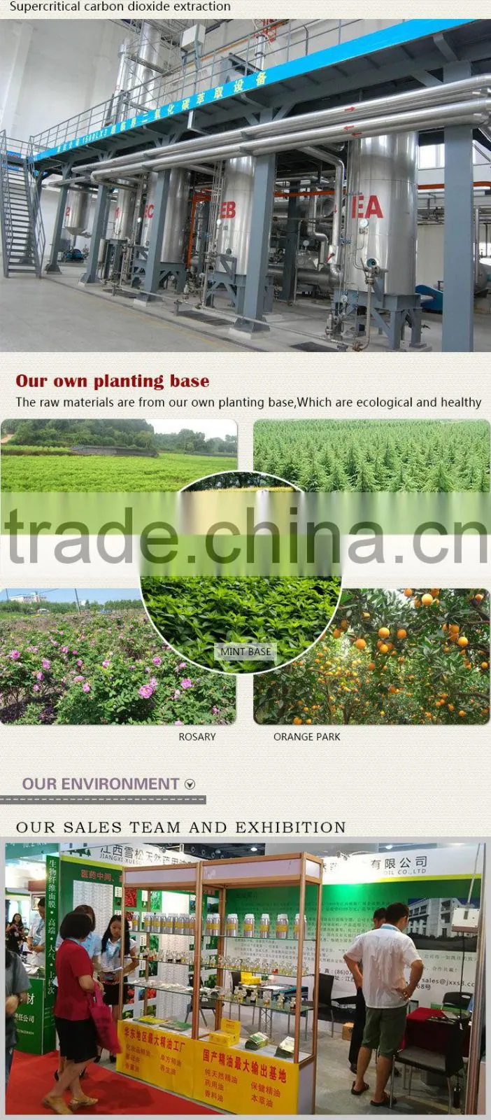 100% Pure And Nature Extractum Glycyrrhizae from Jiangxi for export in China