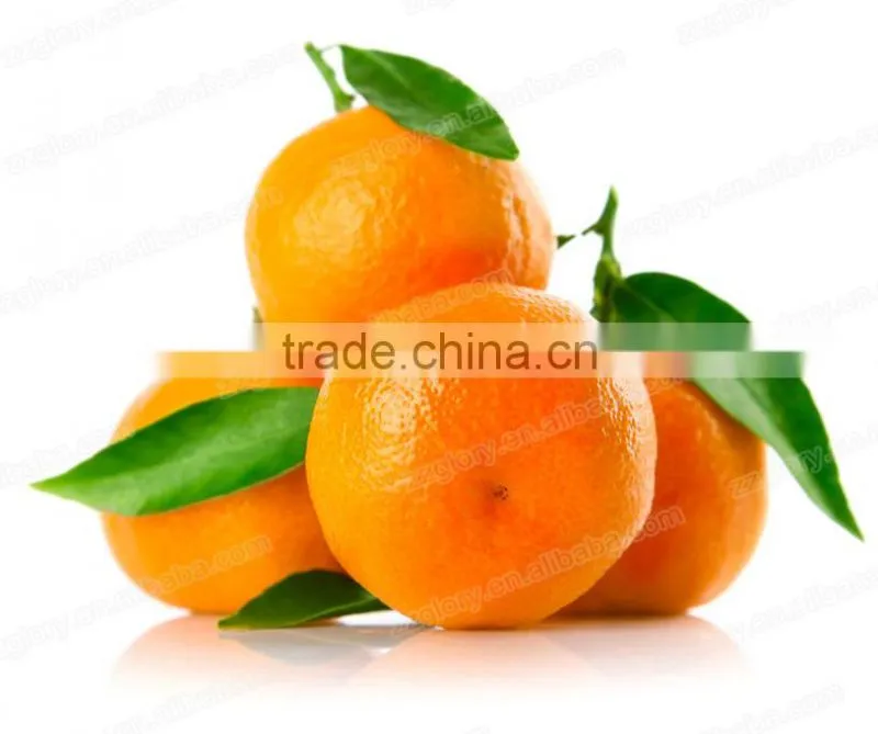 CE Approved High-Rate Automatic Orange Peel Machine, Orange Peeling Machine