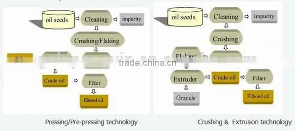 Hot sale peanut oil mill plant, peanut oil making line