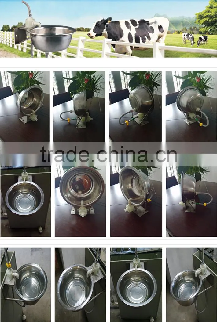 hot sell low price stainless chicken waterer