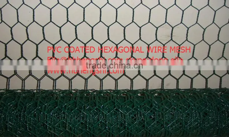 Hexagonal Mesh/Hexagonal Wire Mesh