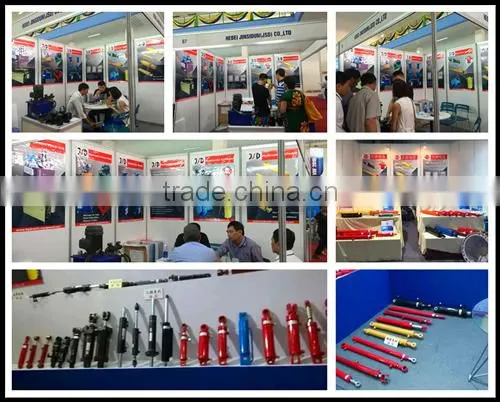 BM Series Hydraulic Motor
