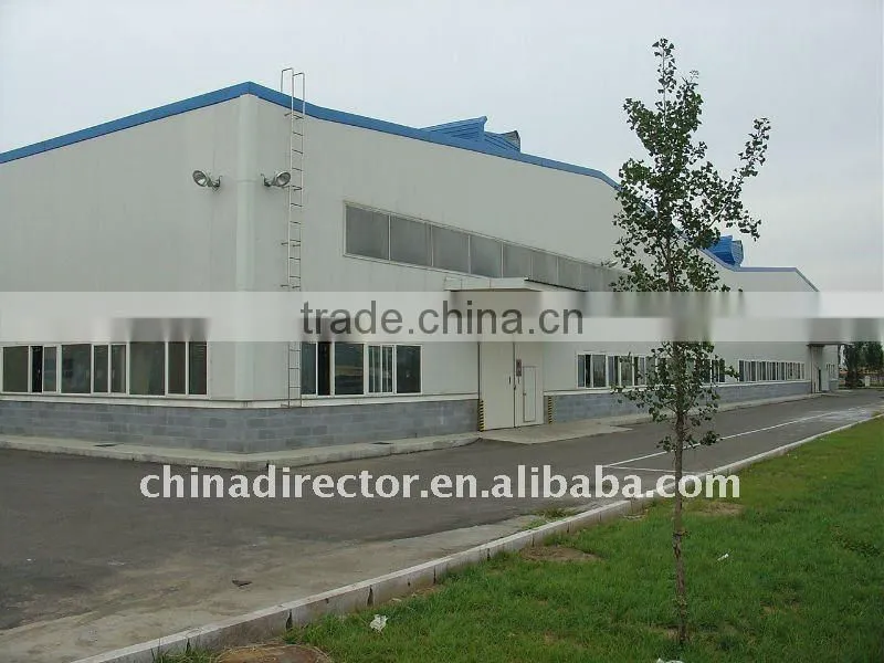 light design steel structure office with workshop