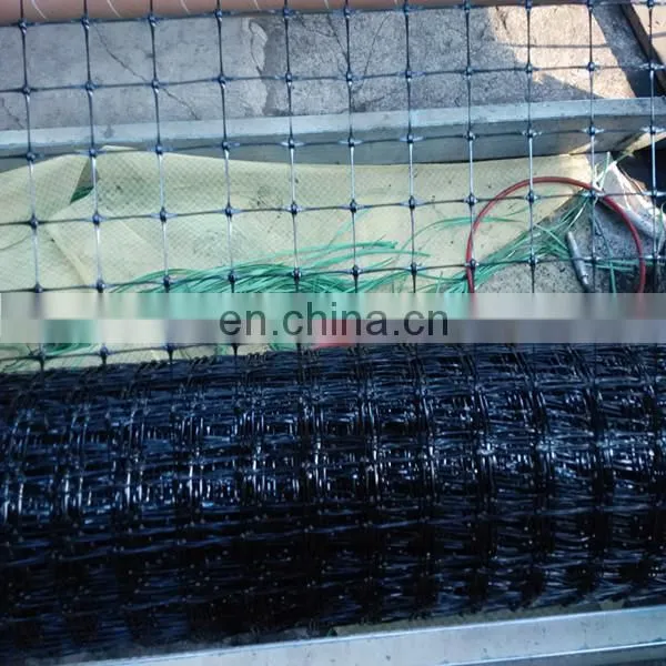 Plastic Net / PE Poultry Net/ PE Deer Net