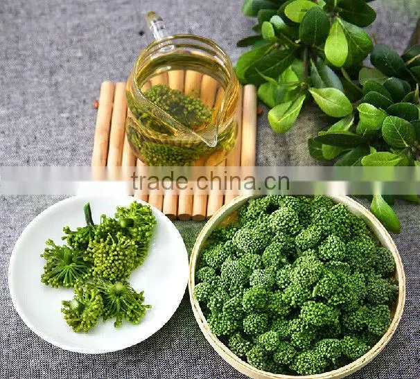 Herbal Tea,Flos Notoginseng Sanchi Flower