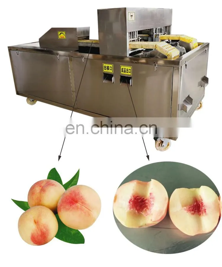 peach seed removing equipment peach nuclear pitting machine.
