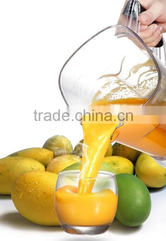 Fruit Juicer Blender