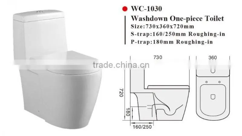 WC-1030 One-Piece P S Trap Toilet with Geberit or R&T Flush Valve & Soft Closing Cover Ramp Down, Water Closet Toilet Bowl