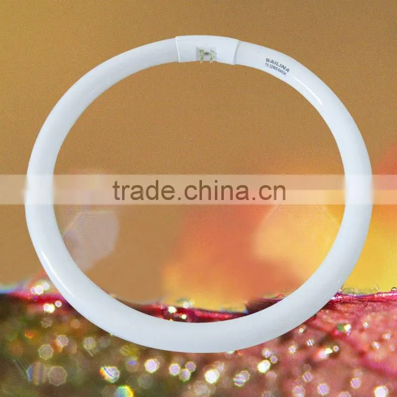 2013 40W fluorescent acrylic ceiling light flush mount ceiling light