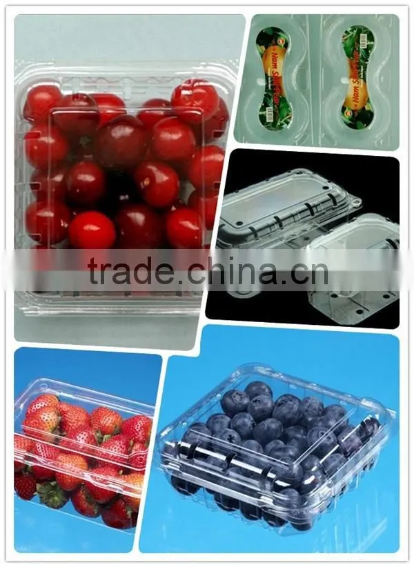 Plastic clear strawberry packaging box with lid