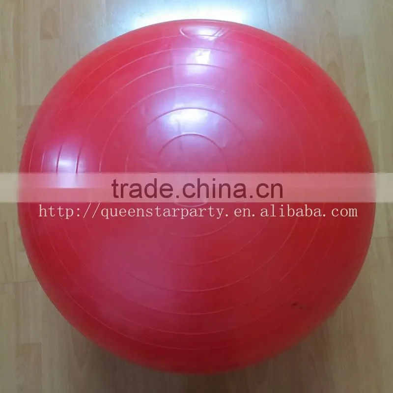 Gym Ball Yoga Ball Fitness Ball