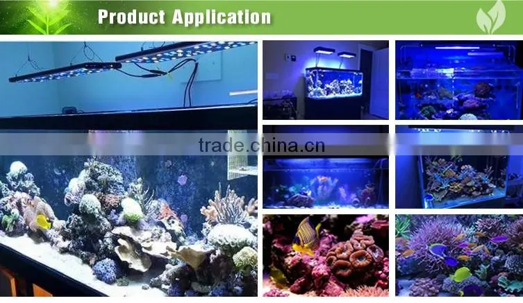 48'' marine aquarium led lighting China sunrise and sunset