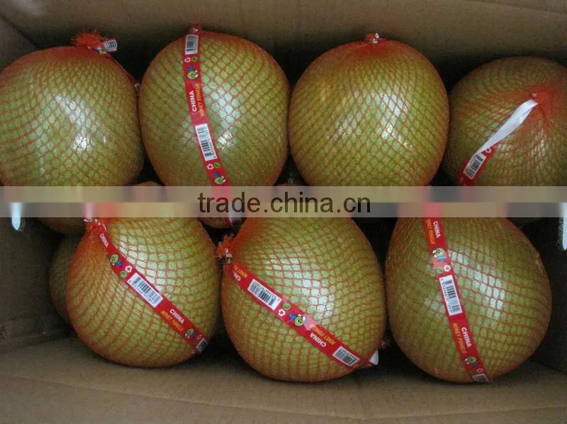Hot Sell Fresh Pomelo, Honey Pomelo