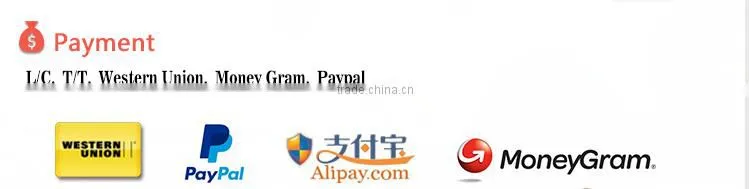Brazilian human hair short hair wig most attractive design for yong girls