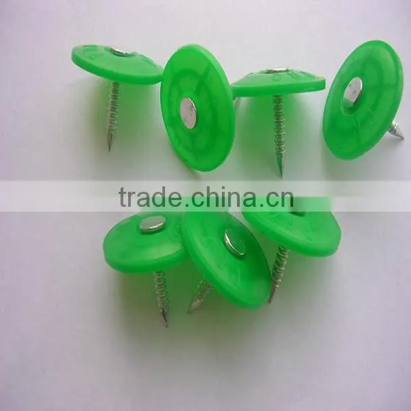 Plastic cap nails