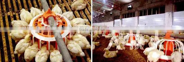 poultry farming equipment for broiler chicken house