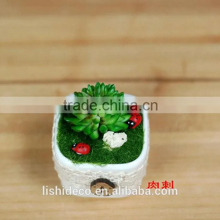 Home Garden Decoration Artificial Succulent Pots Wholesale Bonsai Pot