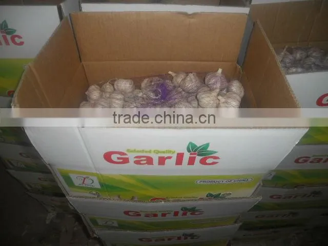 2013 crop natural garlic ,good quality new garlic