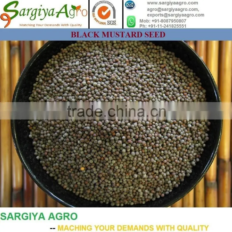 Mustard Seed l Natural l Yellow l Black