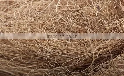 Exporter of Coir coconut fibre