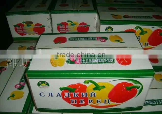orange red capsicum yellow capsicum