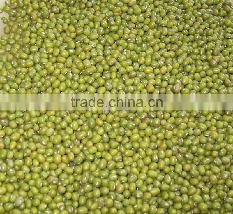 supply dry green mung bean 3.2-3.6mm